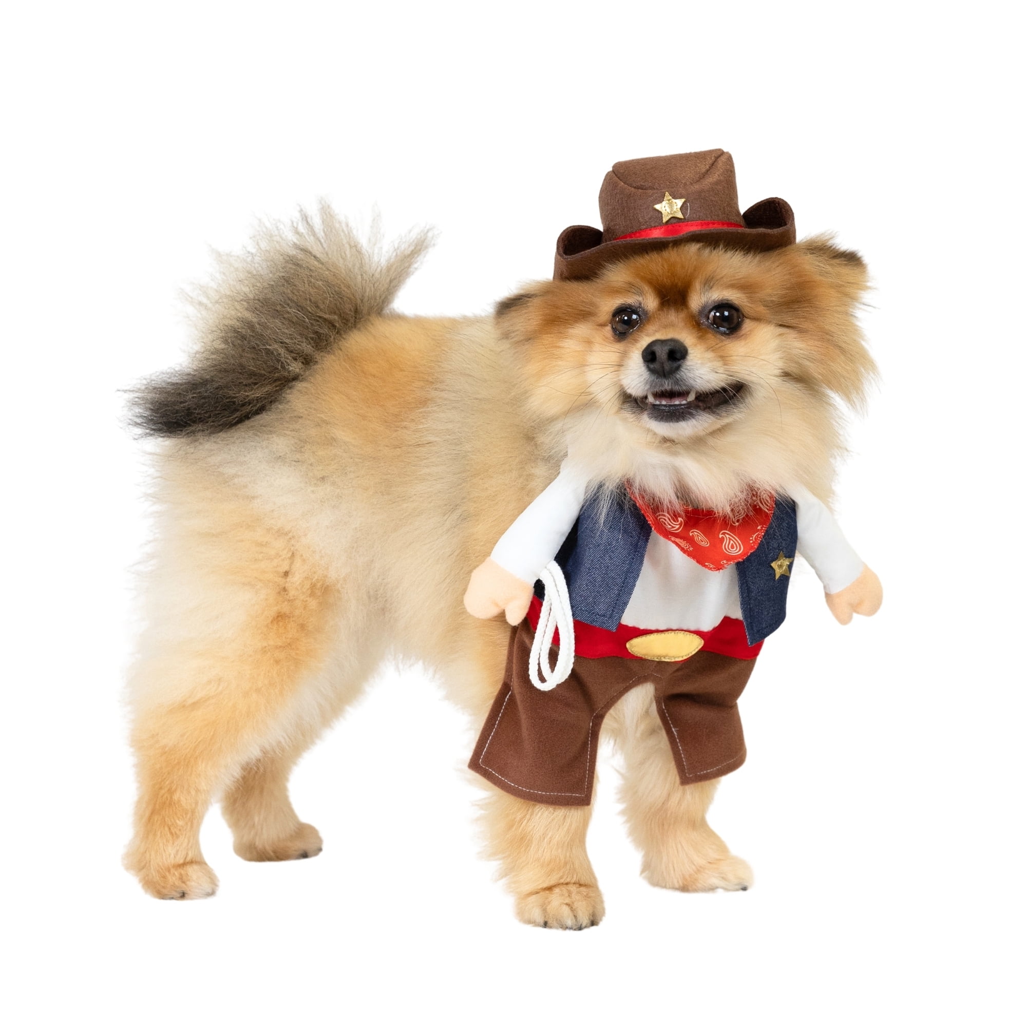 Vibrant Life Halloween Cowboy Costume for Dogs and Cats, Multicolor, Small