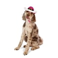 thumbnail image 1 of Vibrant Life Holiday Pet Santa Cowboy Hat for Dogs, Pink, Medium/Large, 1 of 8