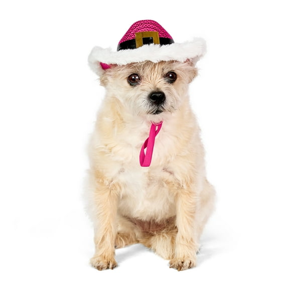 Vibrant Life Holiday Pet Santa Cowboy Hat for Cats & Dogs, Pink, Extra Small/Small