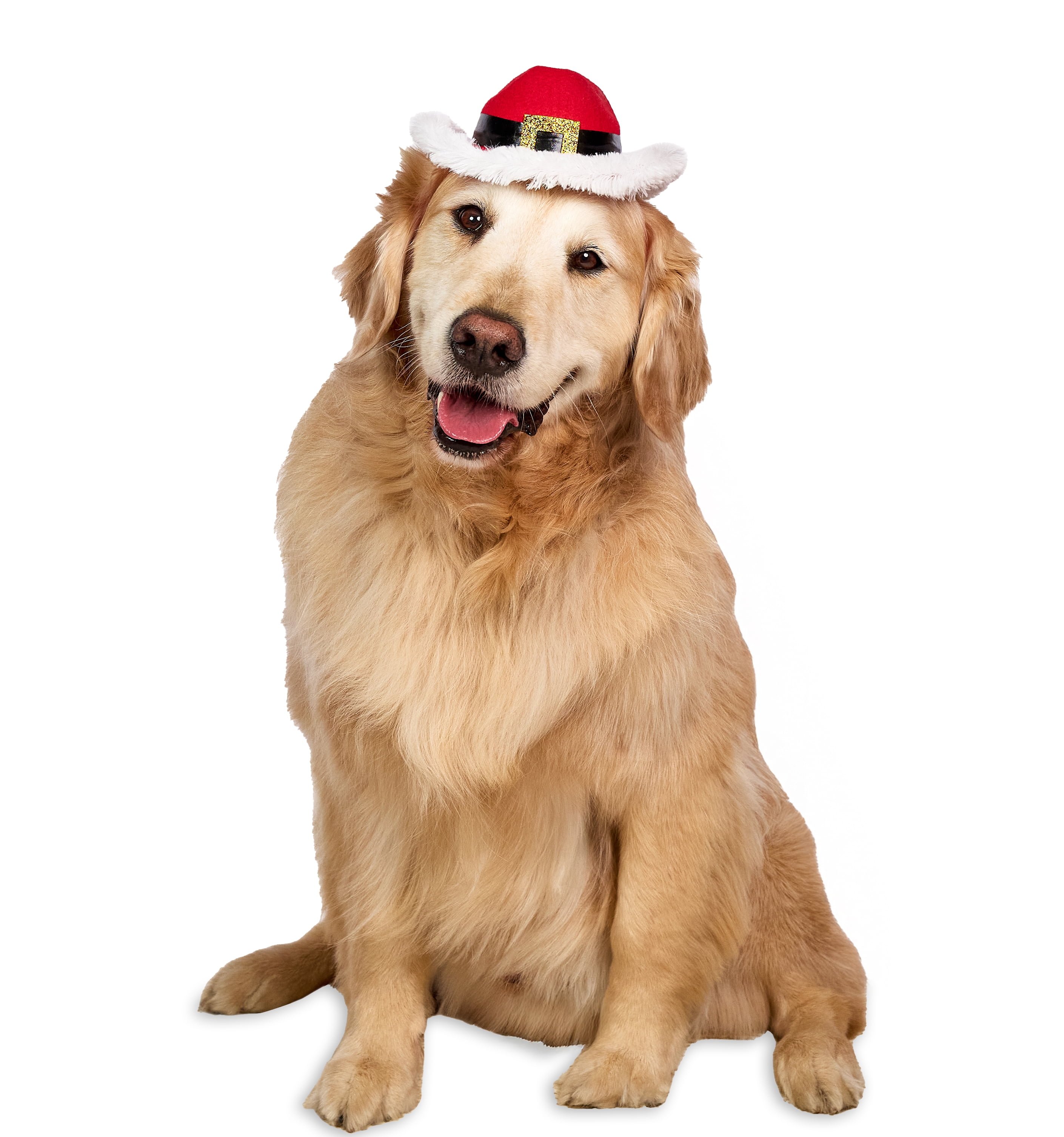 Vibrant Life Holiday Pet Santa Cowboy Hat for Dogs, Red, Medium/Large