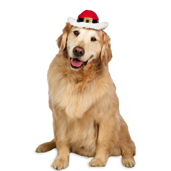 Vibrant Life Holiday Pet Santa Cowboy Hat for Dogs, Red, Medium/Large