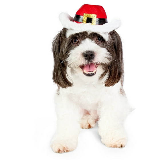 Vibrant Life Holiday Pet Santa Cowboy Hat for Cats & Dogs, Red, Extra Small/Small