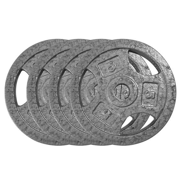 COZONY 1-Inch 5LB*4 Cast Iron Weight Plates Set with 3-Handle Design for Home Gym Strength Training