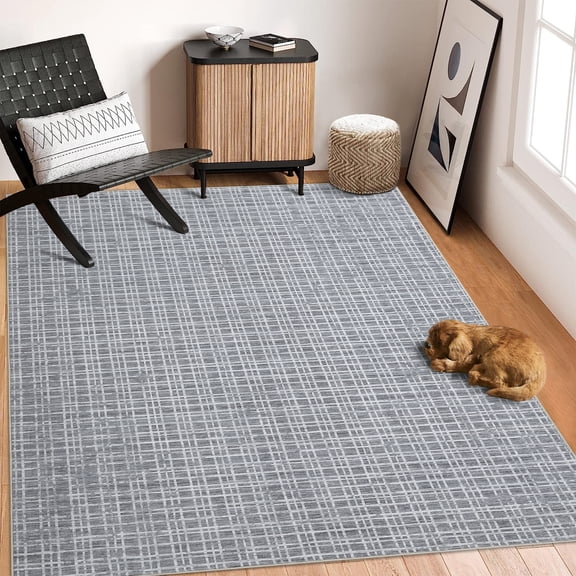 COZONY 4'x6' Washable Area Rug – Bathroom, Kitchen or Entryway Rug, Non-Slip, Soft Low Pile, Dark Gray