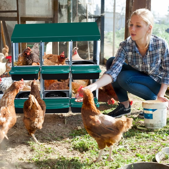 COZONY 6 CompartmentMetal Chicken Nesting Box w/ Automatic Roll Out Egg Collection, Galvanized Steel Laying Box for Hens,Green without bracket legs