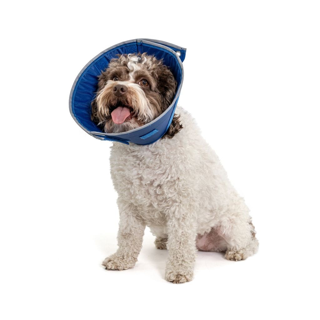 Calm Paws Basics Adjustable Caring Soft e-Collar Small