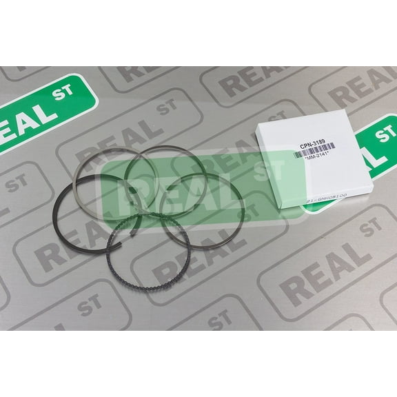 CP Pistons CPN-3189