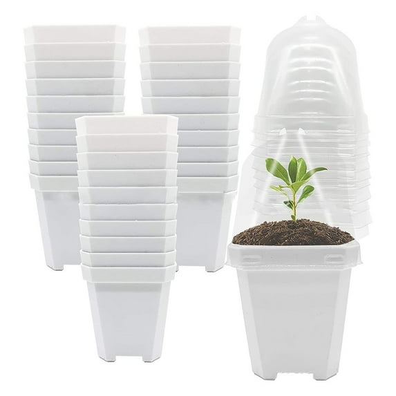 CPAN 10 pcs Plant Nursery Pots With Humidity Dome Small Plastic Square Flower Pot