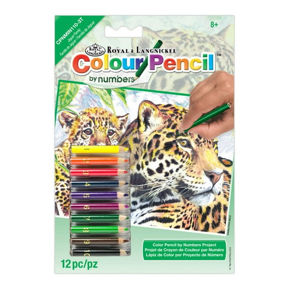 CPNMIN-110 | Colour Pencil by numbers 12pc 5" x 7" Jaguars Project
