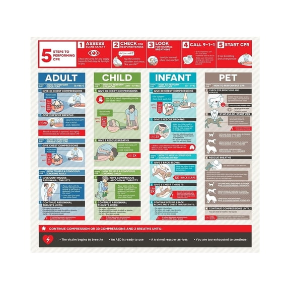 CPR Adult, Child, And Infant Poster, Quick Reference Guide Poster In Emergency Office Supplies Mannequin Illustration