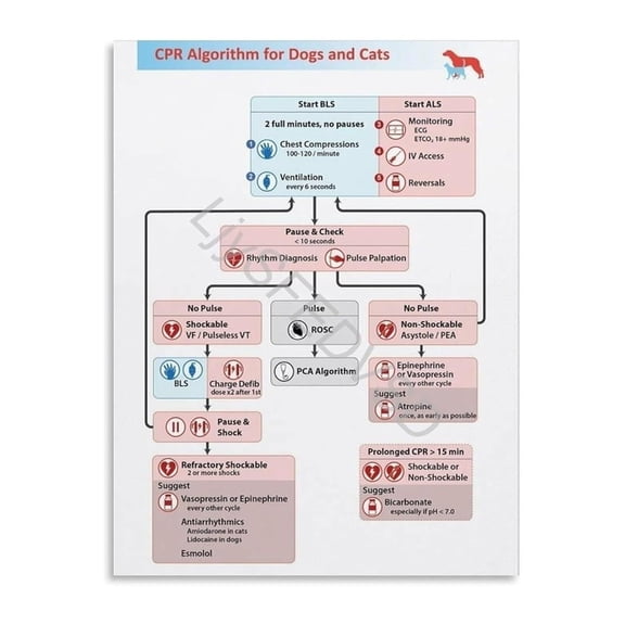 CPR Algorithm Poster for Veterinary Professionals Small Animal Emergency First Aid Guide Critical Care Reference Wall Chart
