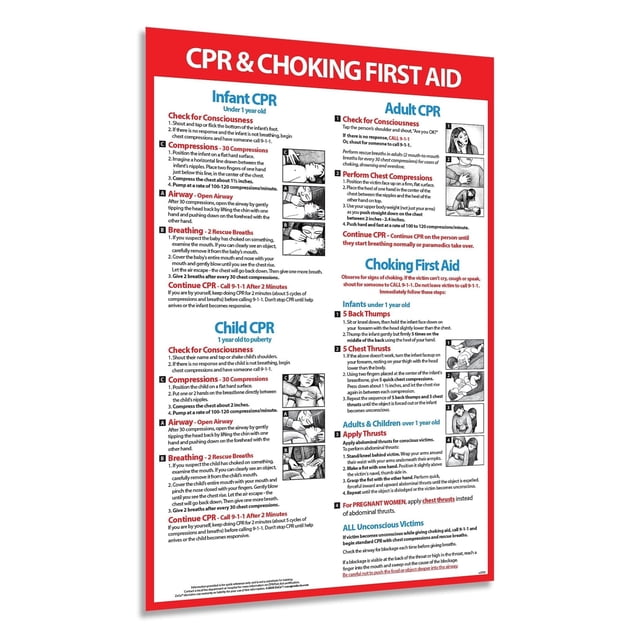 CPR and Choking Poster Heimlich Maneuver & First Aid Instructions for