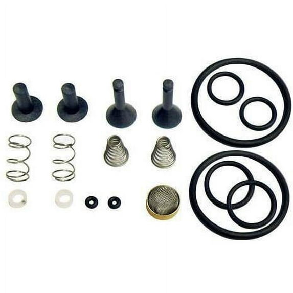 CPS Products TRS21 Valve Rebuild Kit