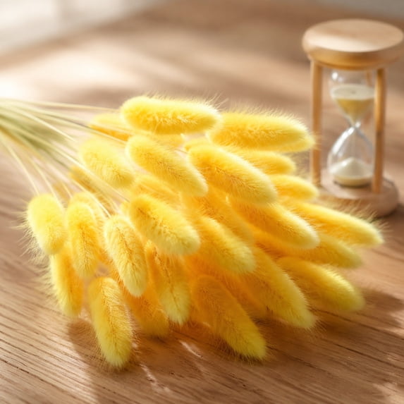 CQCYD Under $5 Bunny Tail Grass Stems, Dried Flower Vase Filler, 20 Pcs Artificial Dried Flowers Bouquet for Living Room Bedroom Home Decor Boho Floral Arrangement