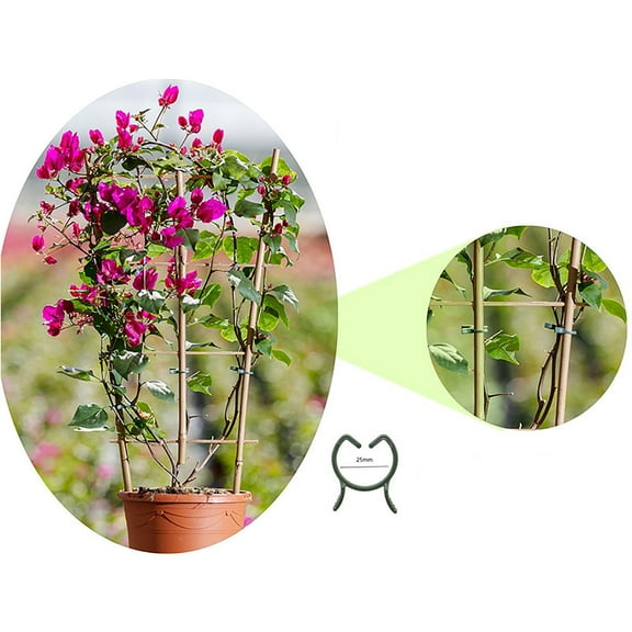 CQCYD under $5 Plant Support Clips, Garden Plant Support Clips, Plastic Vine Tying Clamps, Flower Stem Fixing Clips, Outdoor Gardening Binding Clips, Plant Trellis Securing Clips