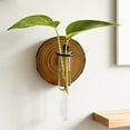 thumbnail image 1 of CQCYD Wall Mounted Vase, Modern Hydroponic Plant Vase Wall Decor For Bathroom Office Living Room Home Decorations Gifts For Women Men Housewarming, 1 of 6