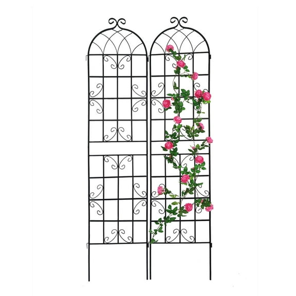 CQSXDA 2 Pack Large Garden Trellis 86.7"H x 19.7" W Heavy Duty Rustproof Black Iron Plant Trellis for Potted Plant Support Metal Climbing Rose Trellis Vine Vegetable Cucumber
