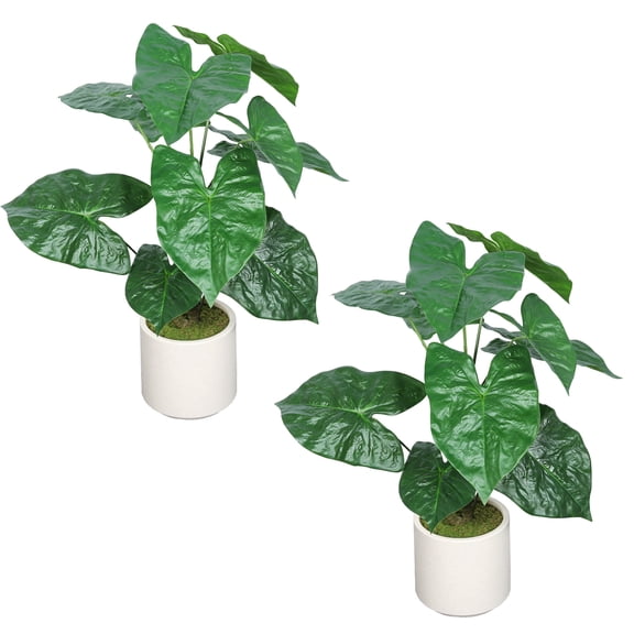 CQSXDA 30'' Artificial Tropical Alocasia Leaf Tree in Black Plastic Pot Realistic, Full & Lush, No Maintenance, Easy Assembly, Modern Style