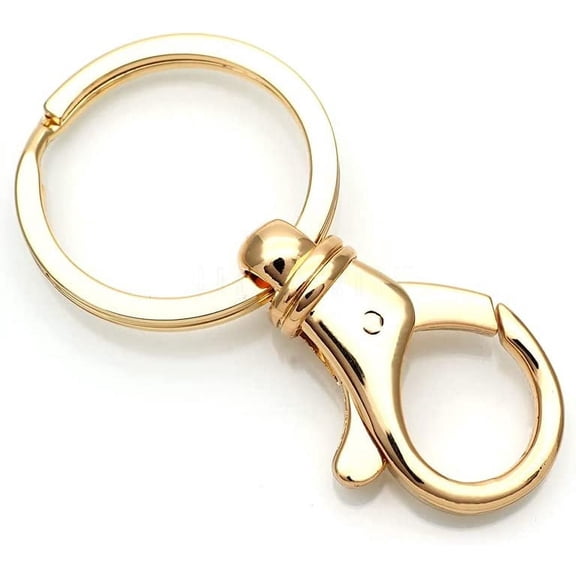 2pcs Key Ring Hardware with 30 mm Split Ring DIY Key Rings Holder Keychain Findings (DB76, Gold)