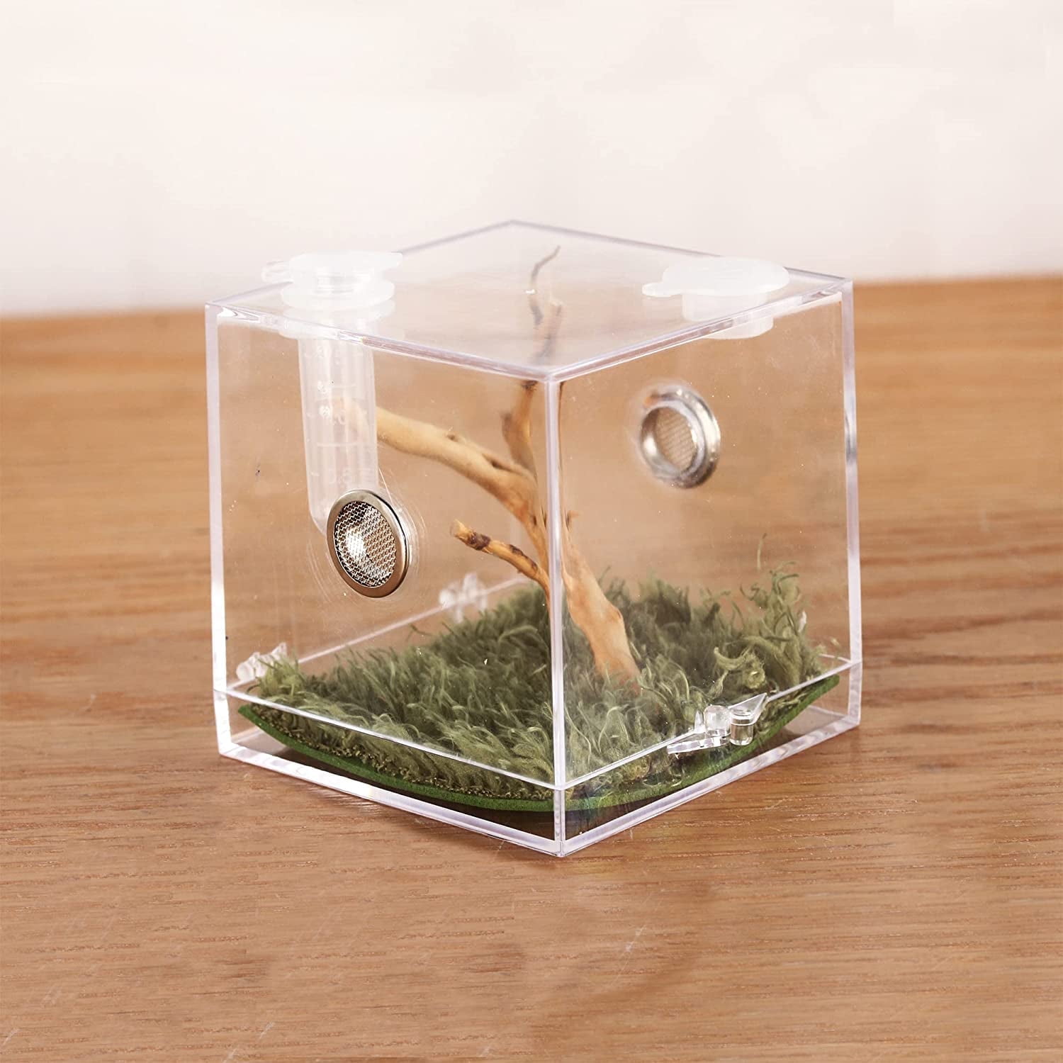 CRAPELLES Jumping Spider Micro 2.6x2.6x2.7 inches Cube Habitat, Small ...