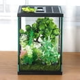 thumbnail image 1 of CRAPELLES Small Vertical Insect GlassTerrarium, 7.8x7.8x10.8'' Reptile Tank, 2.57 Gallon, Color Black, 1 of 7