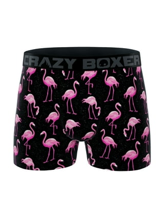 Toucan and Flamingo Pineapple Women's Panties G-Strings Thong Sexy