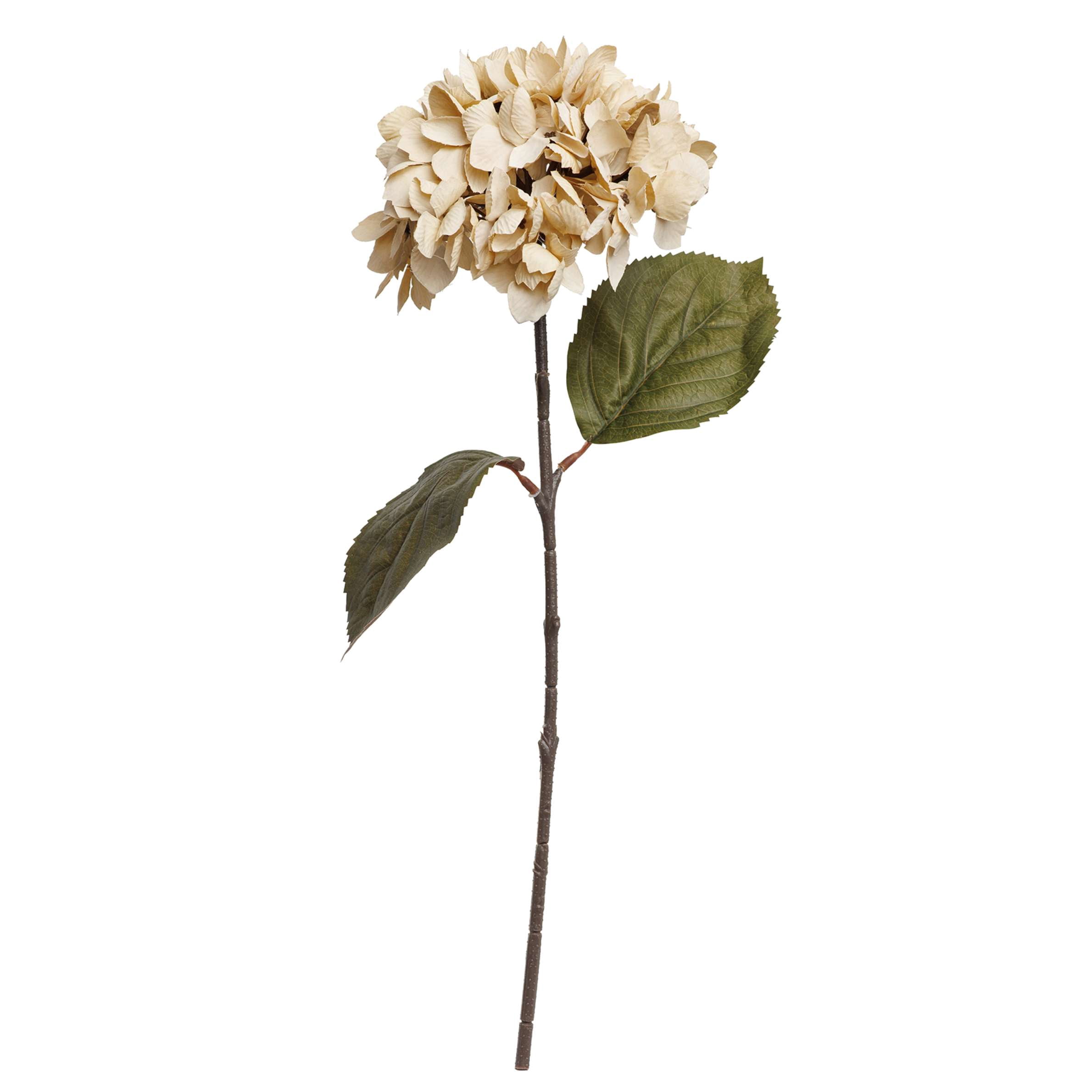 My Texas House Fall Faux Hydrangea Stem, Cream, 20"