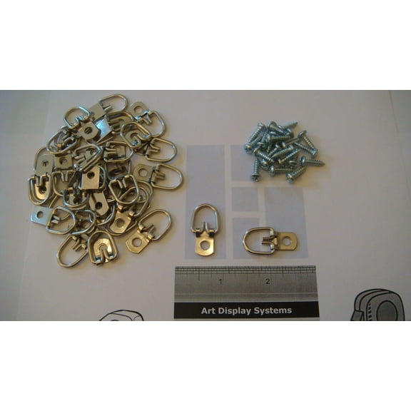 CRESTIN- 25 Medium D-Ring Picture Hanger Strap Mirror Hanger 100 # 6-1/2" Screw +Sample