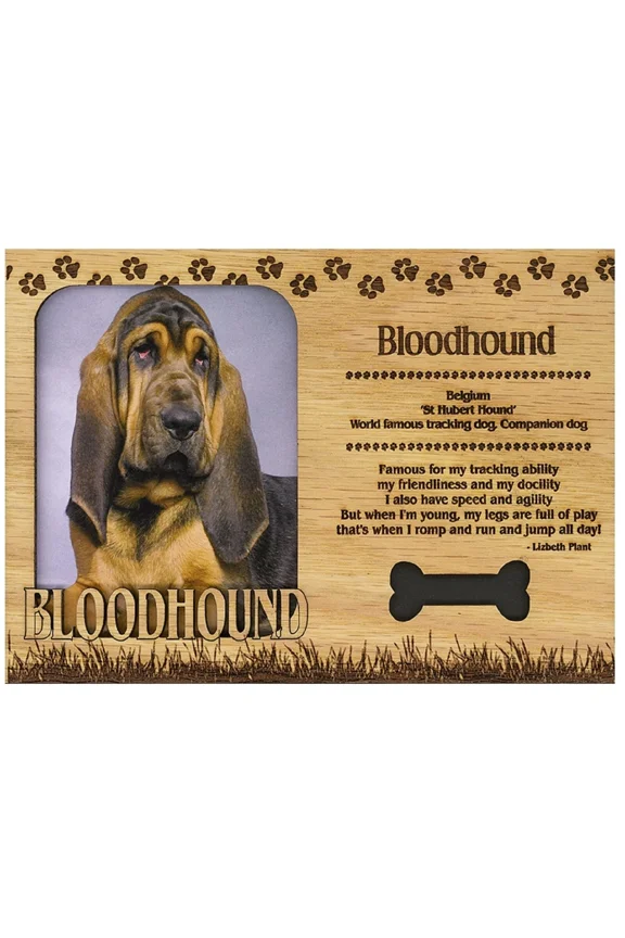 - Bloodhound Engraved Wood Picture Frame Magnet