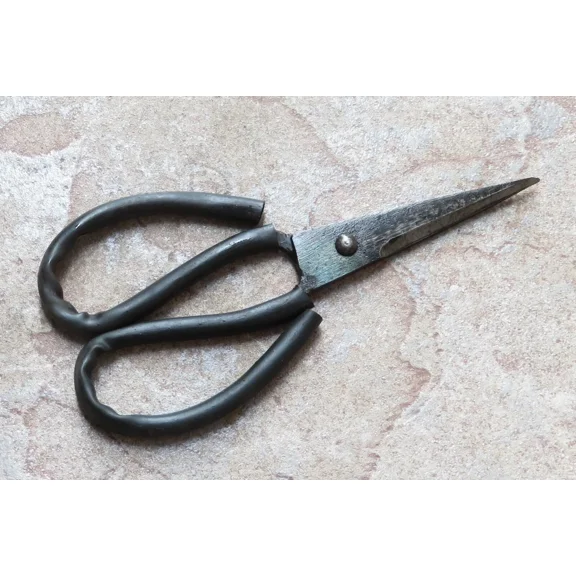 CRESTIN- Crude - 2.5 Inch Hd Asian Carbon Steel Kitchen Shears Scissor, Super Sharp!
