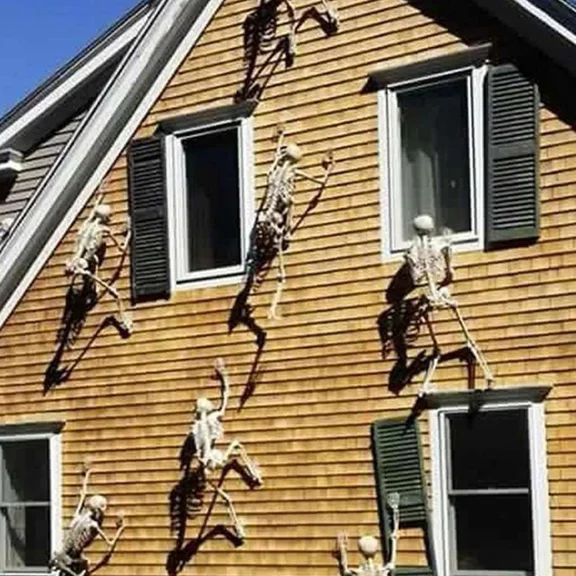 CRESTIN- Skeleton Posable Life Size 16" Halloween Party House Hunted Prop Decor Scary Us