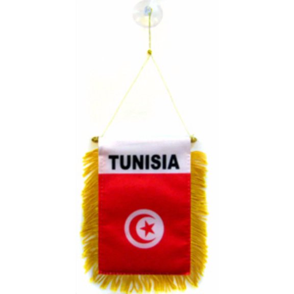 CRESTIN- Wholesale Lot 3 Tunisia Mini Flag 4"X6" Window Banner W/ Suction Cup