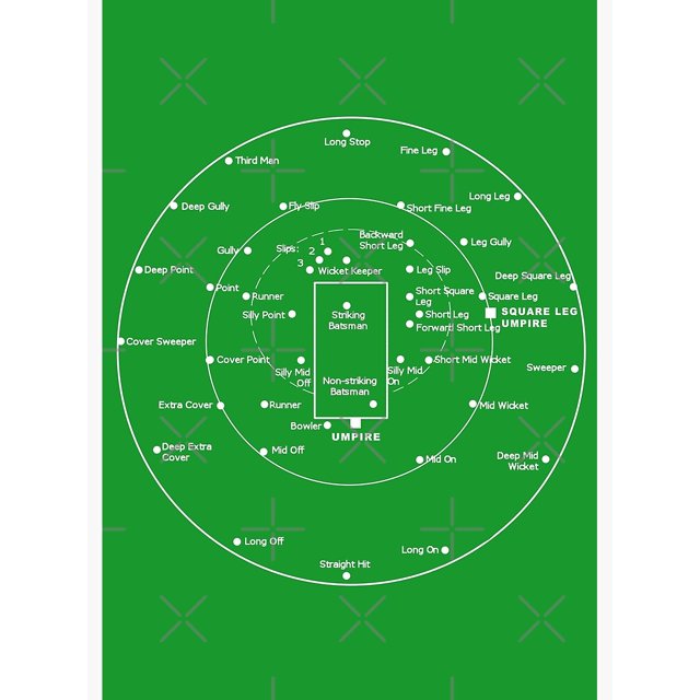 cricket-pitch-positions-fielding-positions-diagram-poster-framed