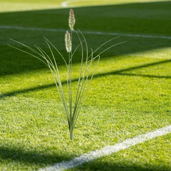 CRILSTYLEO 12Pcs Artificial Foxtail Grass Green Stems Faux Reed Decor for Wedding Party Accents