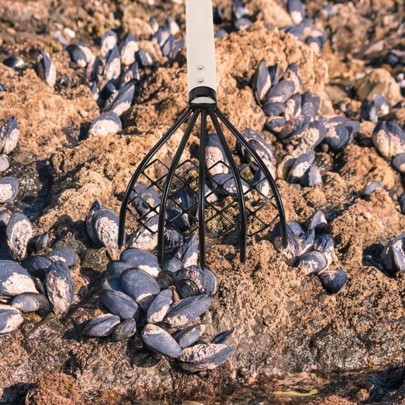 CRILSTYLEO Handheld Metal Claw Rake White Carbon Steel for Home Clam Digging