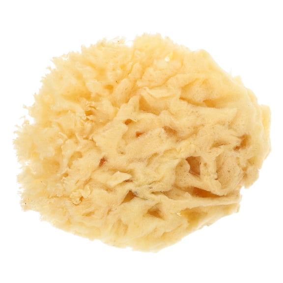 CRILSTYLEO Natural Sea Sponge Art Tool Yellow Soft Texture for Watercolor and Texture Painting