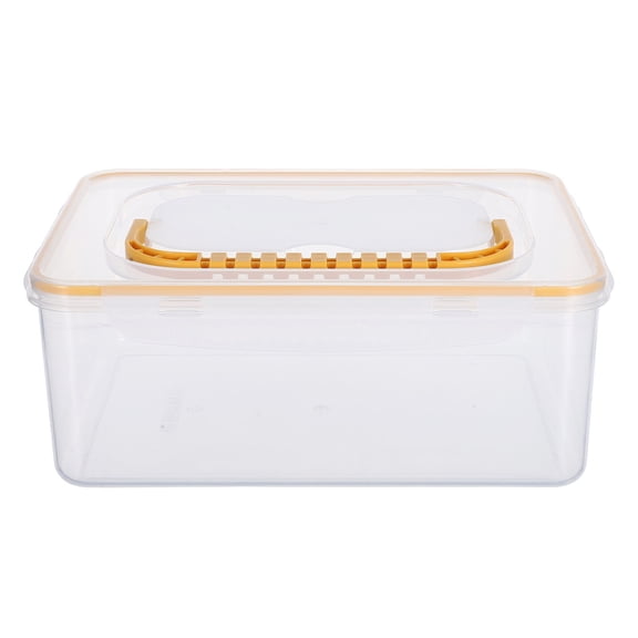 CRILSTYLEO Portable Transparent Storage Box with Lid for Craft Or Small Parts Organizer