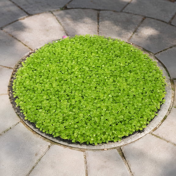 CRILSTYLEO Round Septic Tank Cover, Artificial Grass Manhole Cover