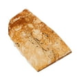 thumbnail image 2 of Outdoor Large Life Size Dinosaur Fossil Model - Buy Dinosaur Fossil 2 of 9