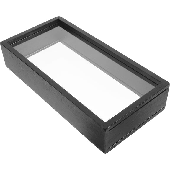 CRILSTYLEO Black Acrylic Floating Specimen Display Box, Shadow Box Frame for Pressed Flowers, Insects, Photos, Home Decor