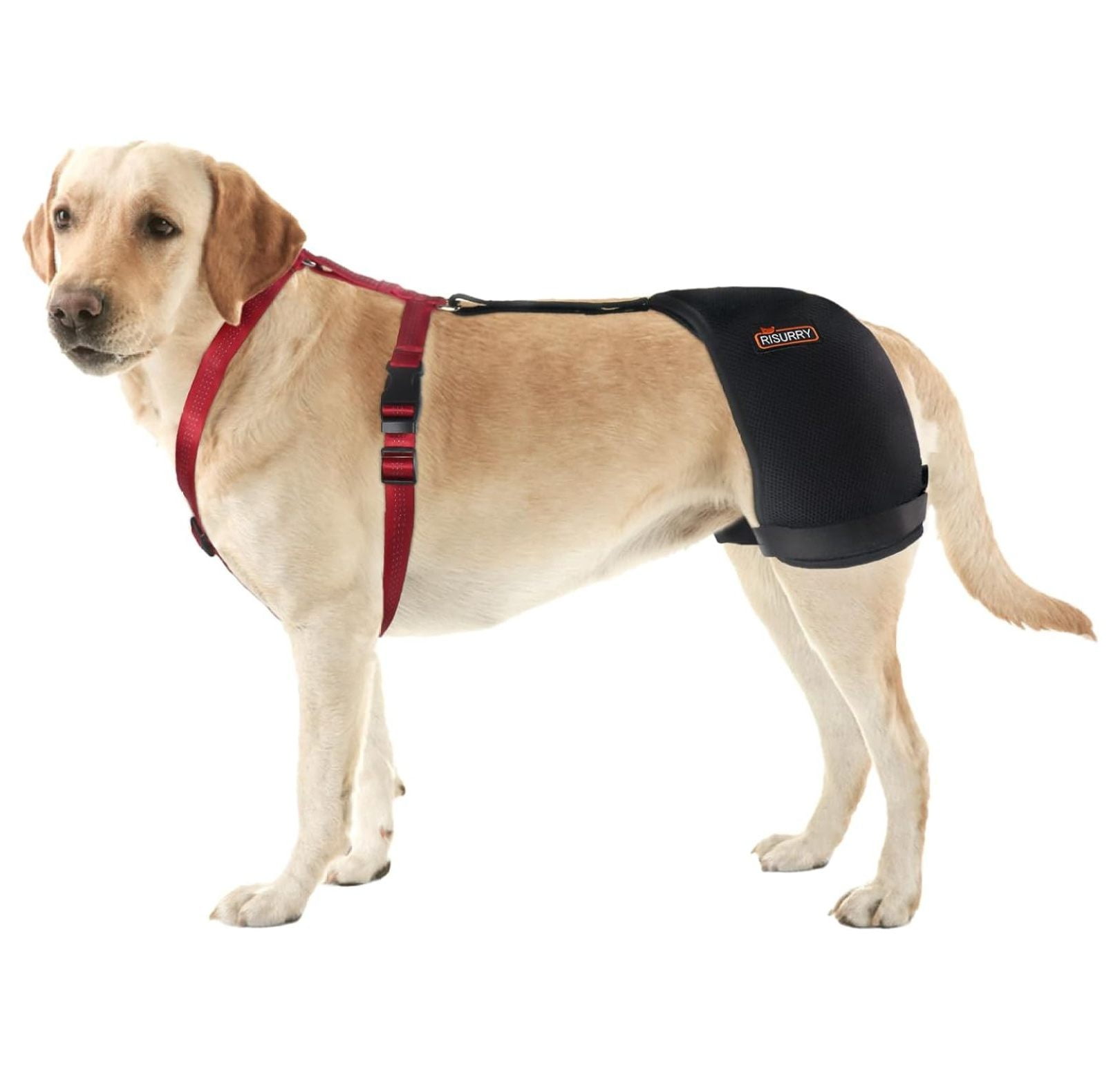 CRIXLHIX/RISURRY Hip Brace for Dogs, Hip Dysplasia Dog Support Brace