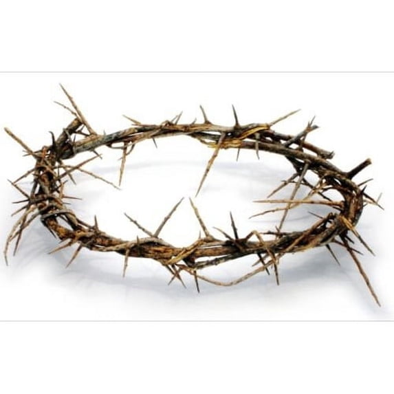 CROWN OF THORNS BETHLEHEM JERUSALEM HOLY LAND aprox 7.5 " diameter