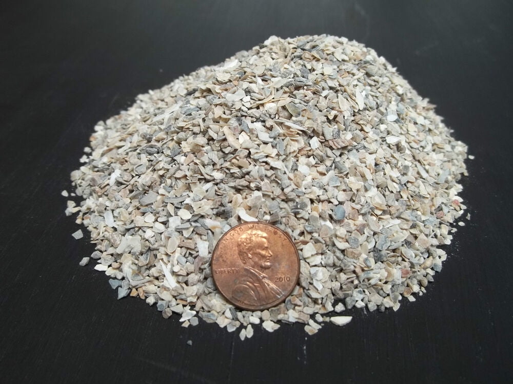 CRUSHED OYSTER SHELL MEDIUM dyna rock Cactus Cacti seedling soil media