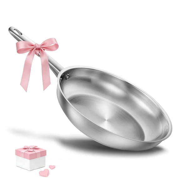 Koch Systeme CS 8 inch Stainless Steel Frying Pan, Small Skillets with Stay-Cool Handle, Induction Compatible, Dishwasher Safe, Oven Safe