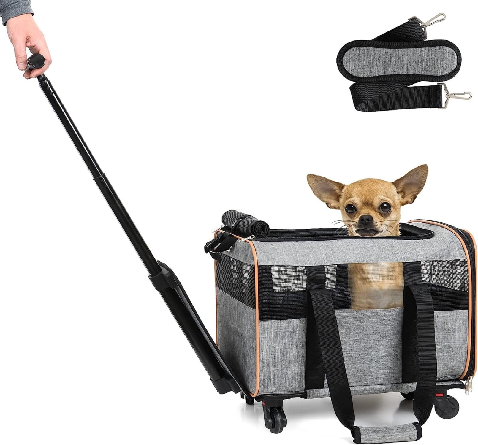 https://i5.walmartimages.com/seo/CS-STORE-Pet-Carrier-Airline-Approved-Dog-Carrier-with-Wheels-cat-carrier-with-Telescopic-Walking-Handle-Dog-Carriers-for-Small-Dogs-Easy-to-Fold_f051636a-1852-40fc-9dfa-e33324110e9a.dbe762e28cb699efcfc1d310a7e8ee1f.jpeg