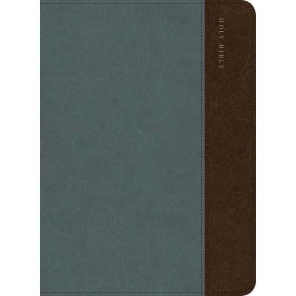 CSB Large Print Compact Reference Bible, Digital Study Edition, Easy-To-Read Optimal Type, Slate/Brown Leathertouch, Zip, (Hardcover)