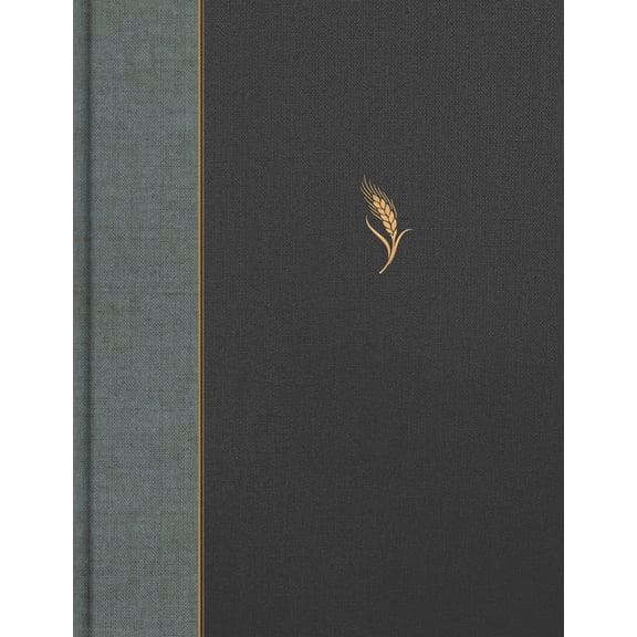 CSB Notetaking Bible, Expanded Reference Edition, Gray/Charcoal Cloth Over Board, (Hardcover)