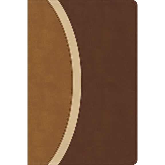 CSB Rainbow Study Bible, Brown Leathertouch (Limited Edition), (Hardcover)
