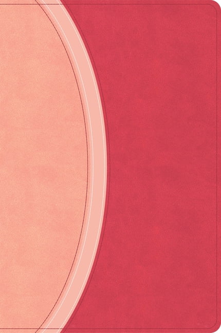 CSB Rainbow Study Bible, Pink Leathertouch, Indexed, (Hardcover)