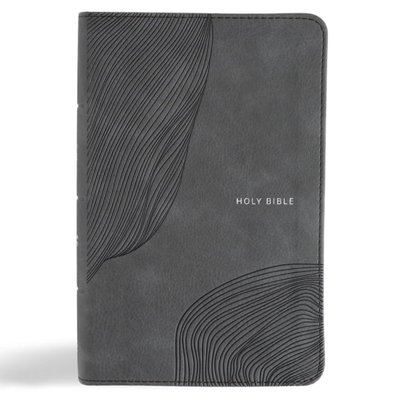 CSB Single-Column Compact Bible, Digital Study Edition, Charcoal Leathertouch, (Hardcover)